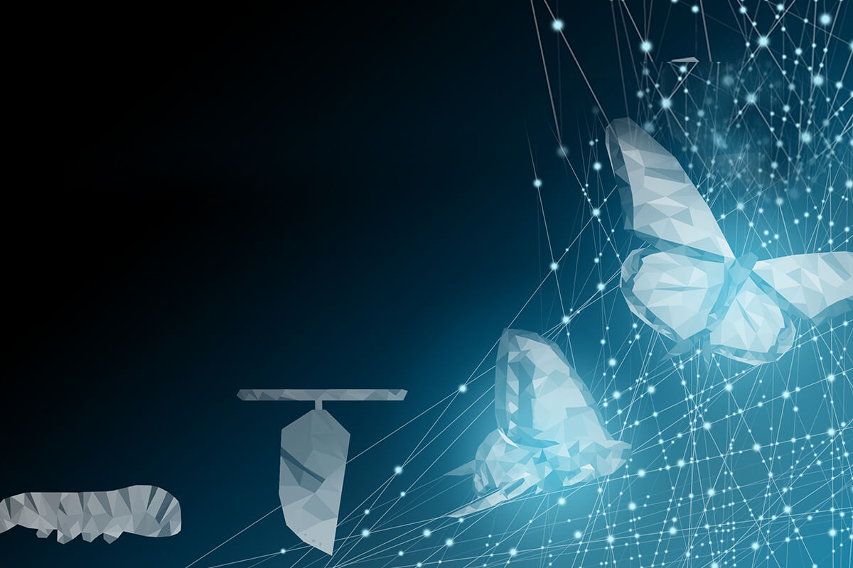 Key Areas to Focus on In Your Digital Transformation Journey